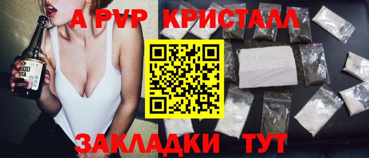 Alfa_PVP СК КРИС Урус-Мартан