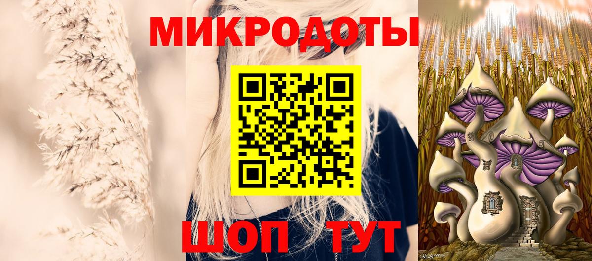 Урус-Мартан  Галлюциногенные грибы Psilocybe  Вход с VPN  Галлюциногенные грибы прущие грибы 